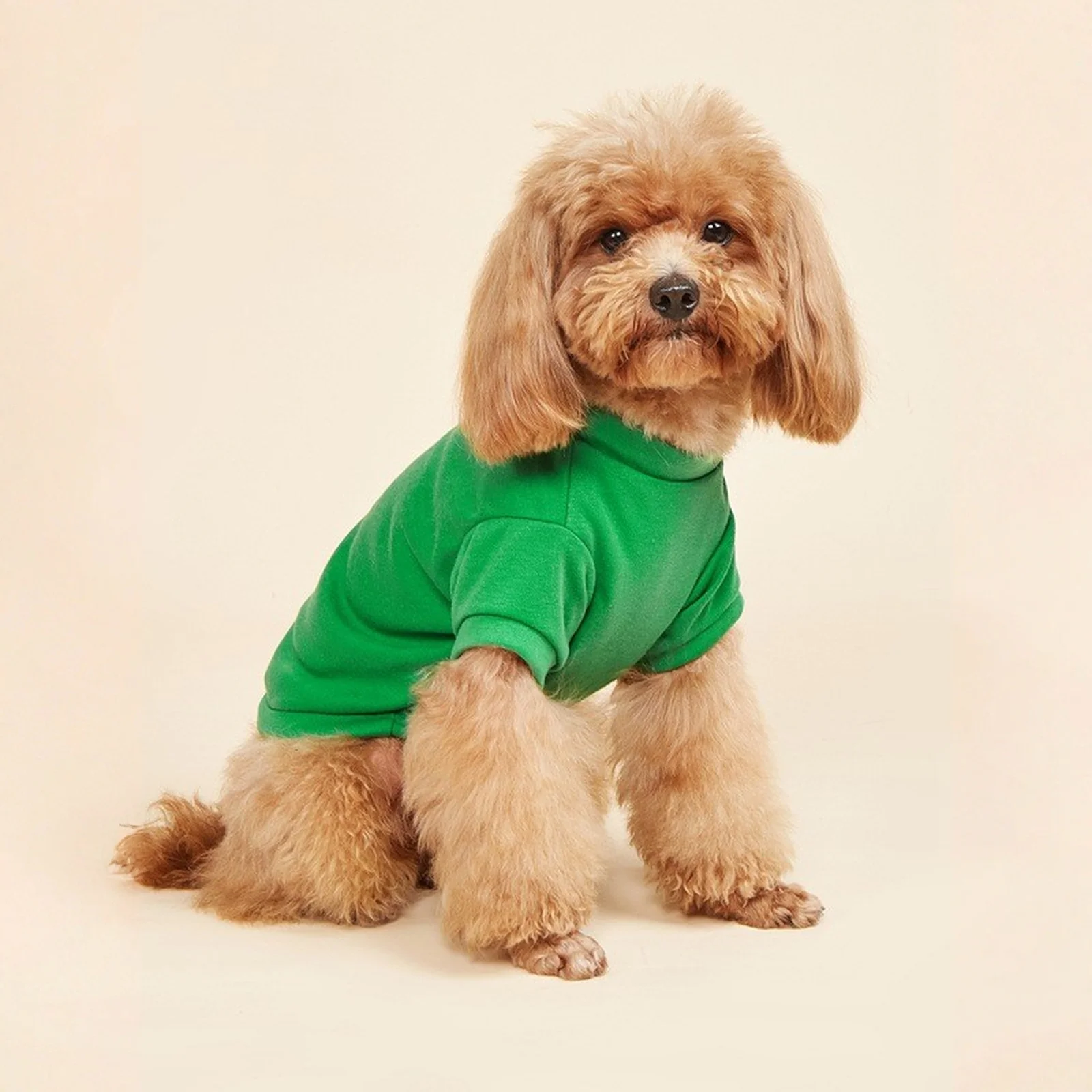 Colete para Cães de Algodão para Cães Pequenos e Médios - Imagem 4