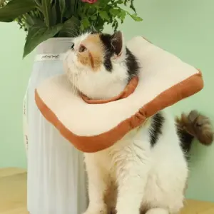 colar inflável protetor para gatos