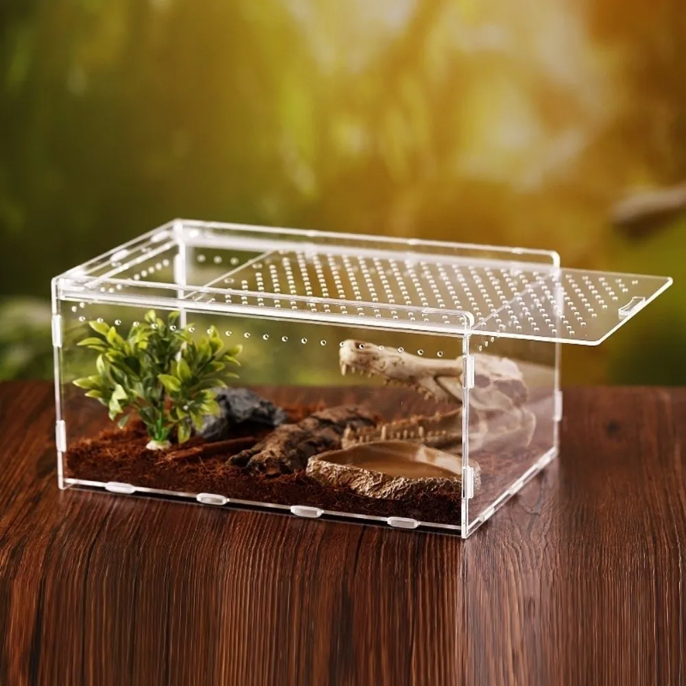 Terrário para Répteis de Acrílico Transparente 10x10x10 cm Anti-fuga - Image 3
