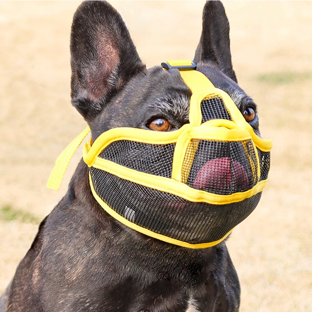 Focinheira Ajustável para Bulldog Francês de Nylon com Fecho de Fivela - Image 4
