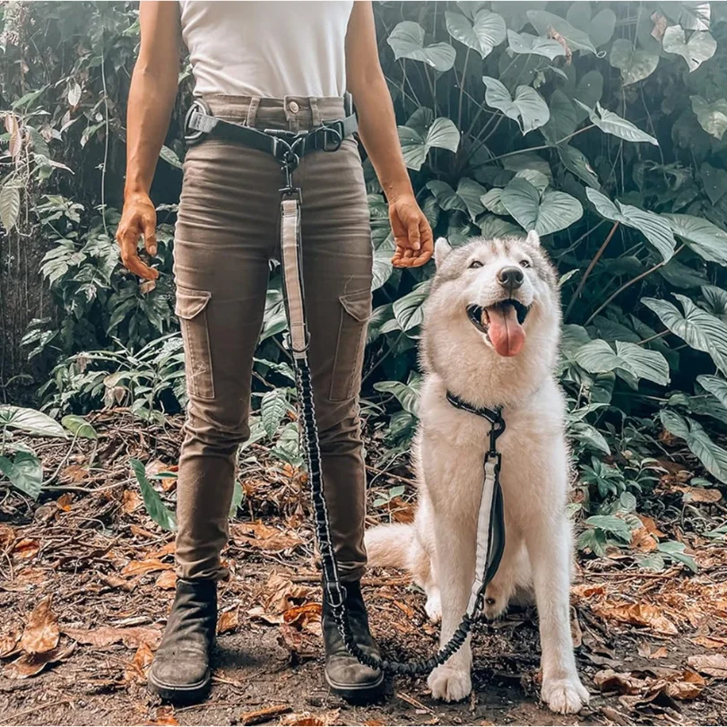 Coleira para Cães Mãos Livres com Cinto Lombar Refletiva - Imagem 4