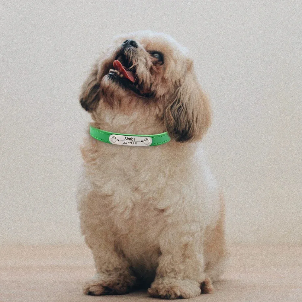 Coleira Anti-Perda Personalizada para Cães e Gatos Pequenos e Médios - Image 2