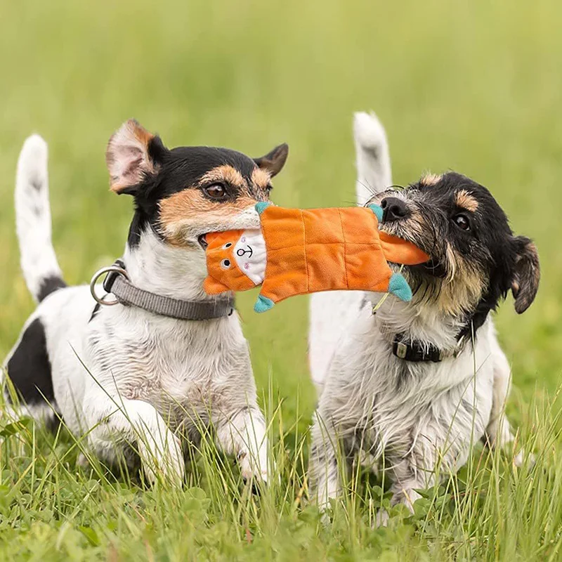 Brinquedo de Pelúcia para Cães Pequenos e Médios com Som - Imagem 2