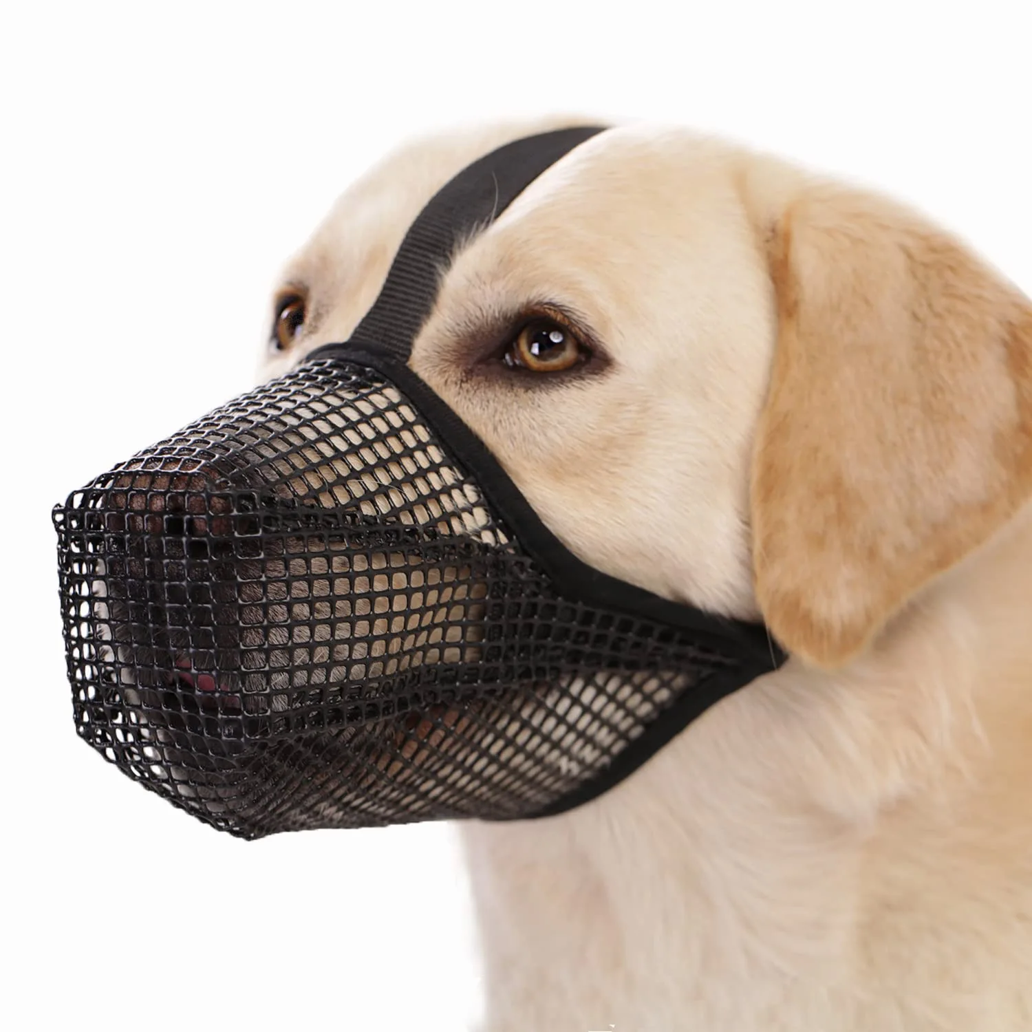Focinheira de Malha para Cães com Alças Ajustáveis e Dobrável - Imagem 3