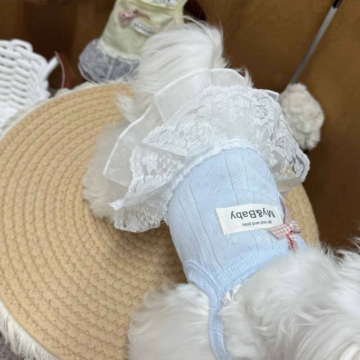 Roupa de Verão para Cães Pequenos Respirável - Image 5