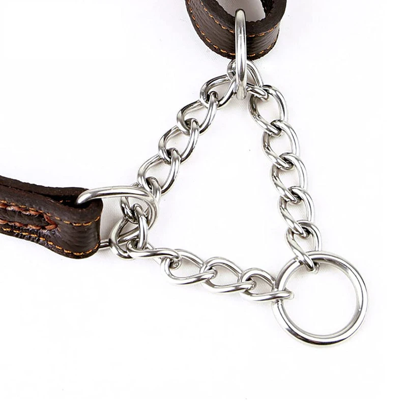 Benepaw Martingale para Cães de Couro com Corrente de Aço Inoxidável - Imagem 5