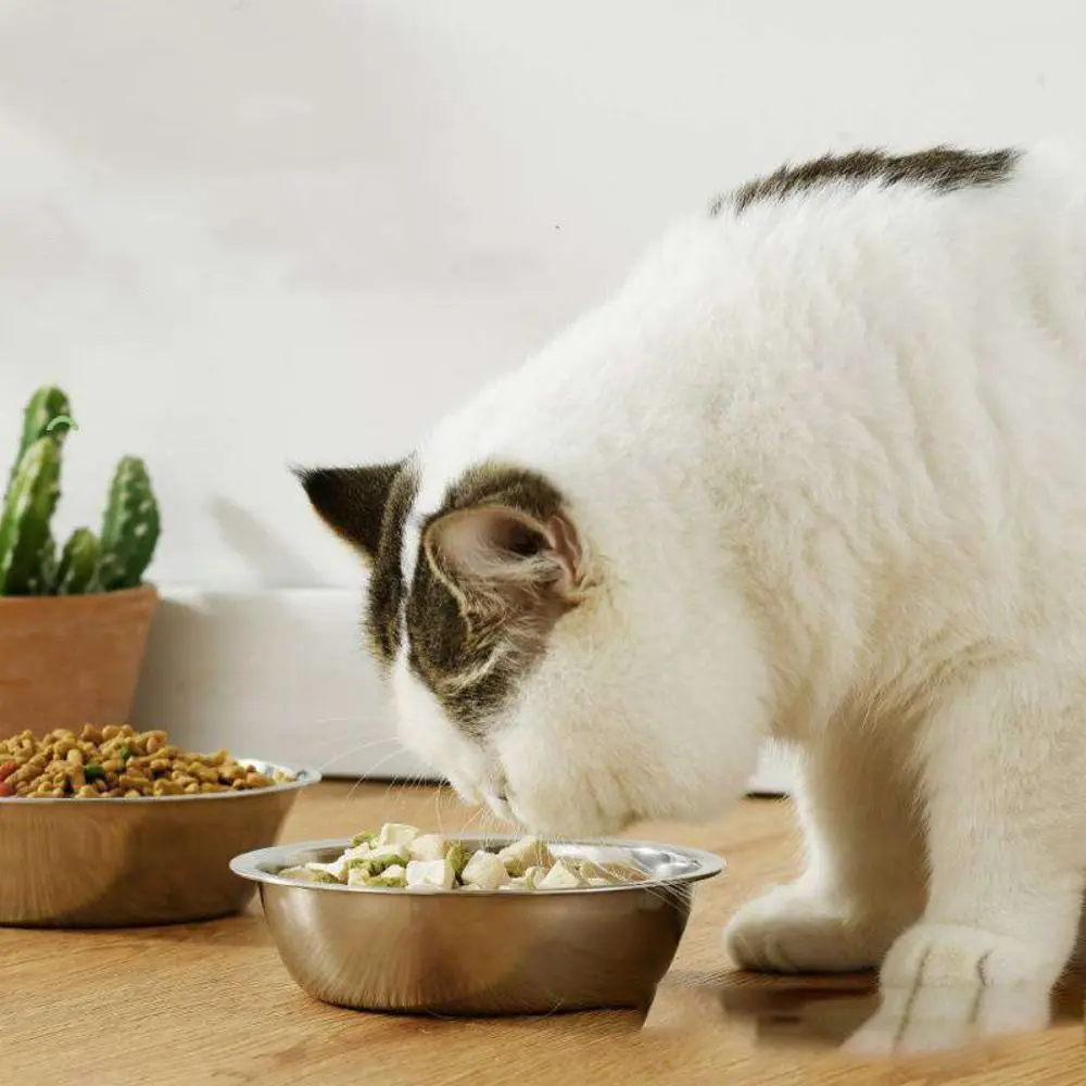 Comedouro para Cães e Gatos em Aço Inoxidável Prateado Liso - Imagem 5