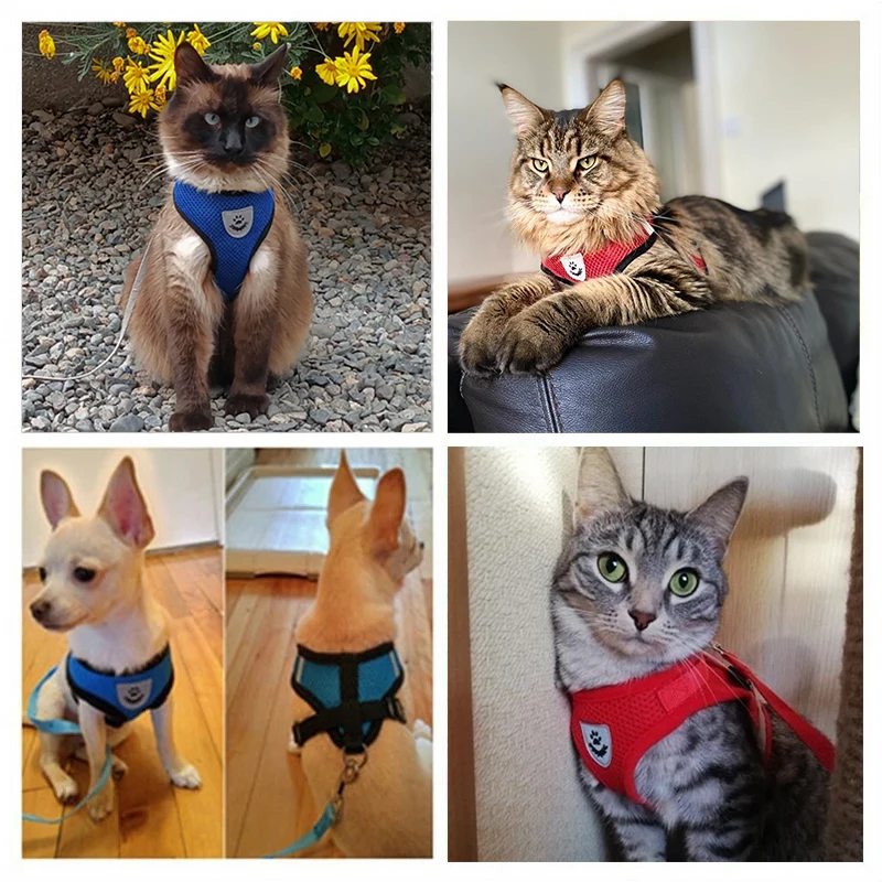 Coleira Peitoral para Gatos e Cães Pequenos Ajustável com Faixas Refletivas - Image 2