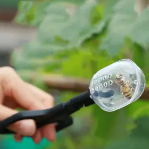 pinça para insetos transparente