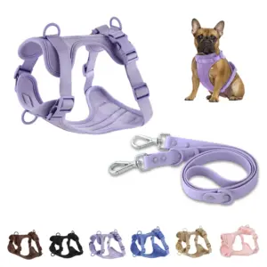 conjunto coleira e peitoral pvc para cães