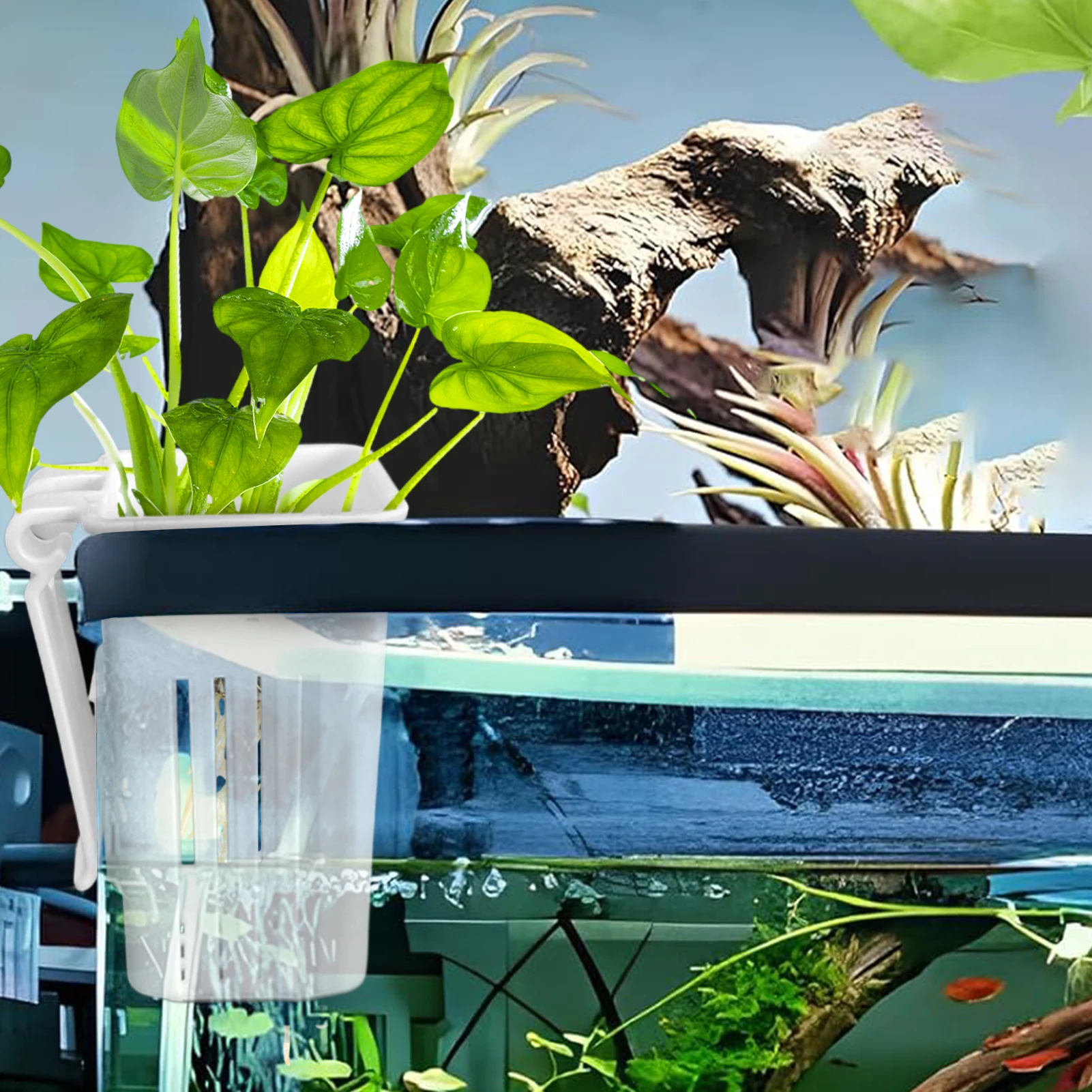 Suporte para Plantas de Aquário PP com Gancho para Borda do Vidro - Imagem 4