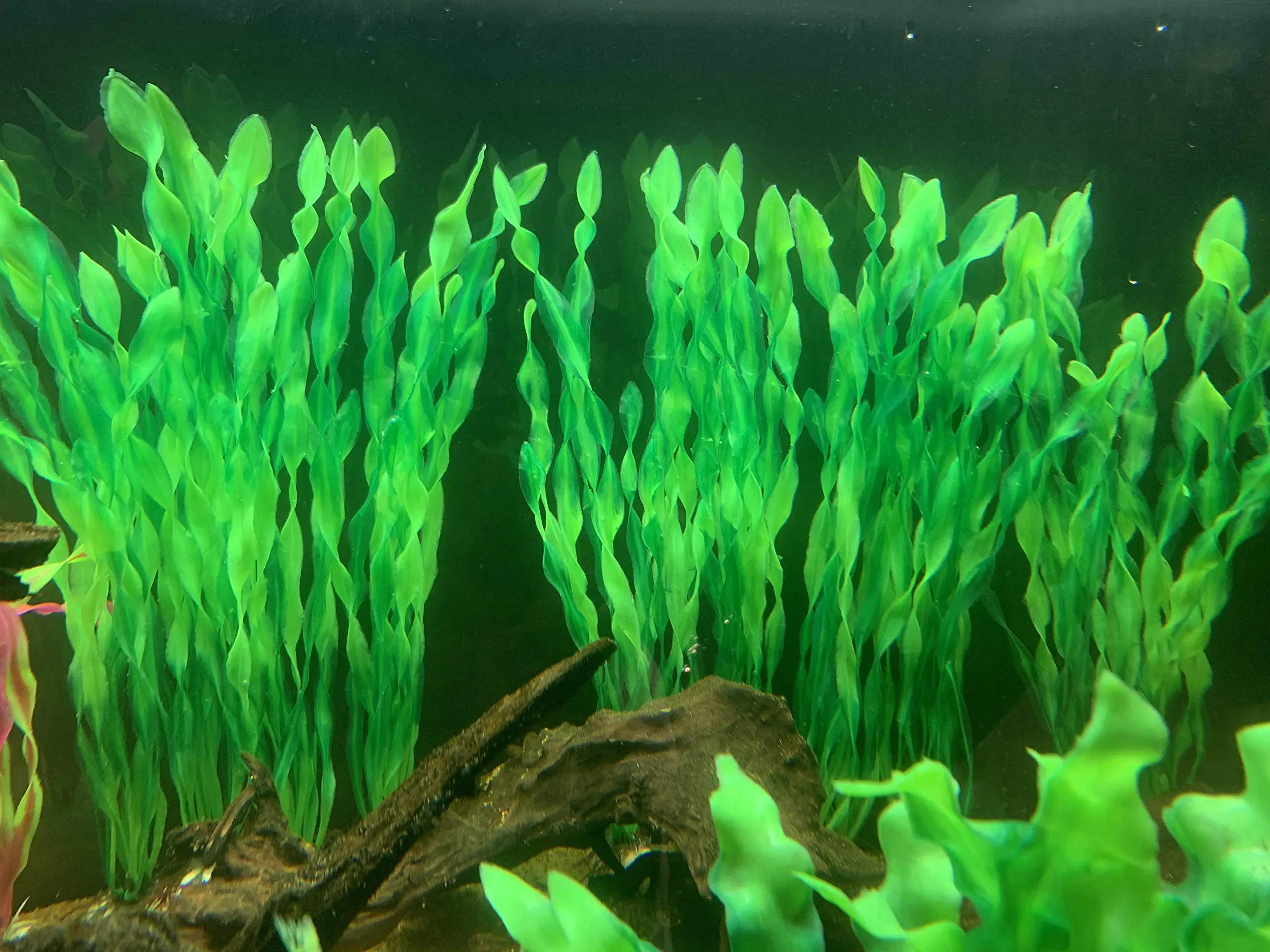 Plantas Artificiais para Aquário Plástico 5 ou 10 Peças com Base Cerâmica - Imagem 6