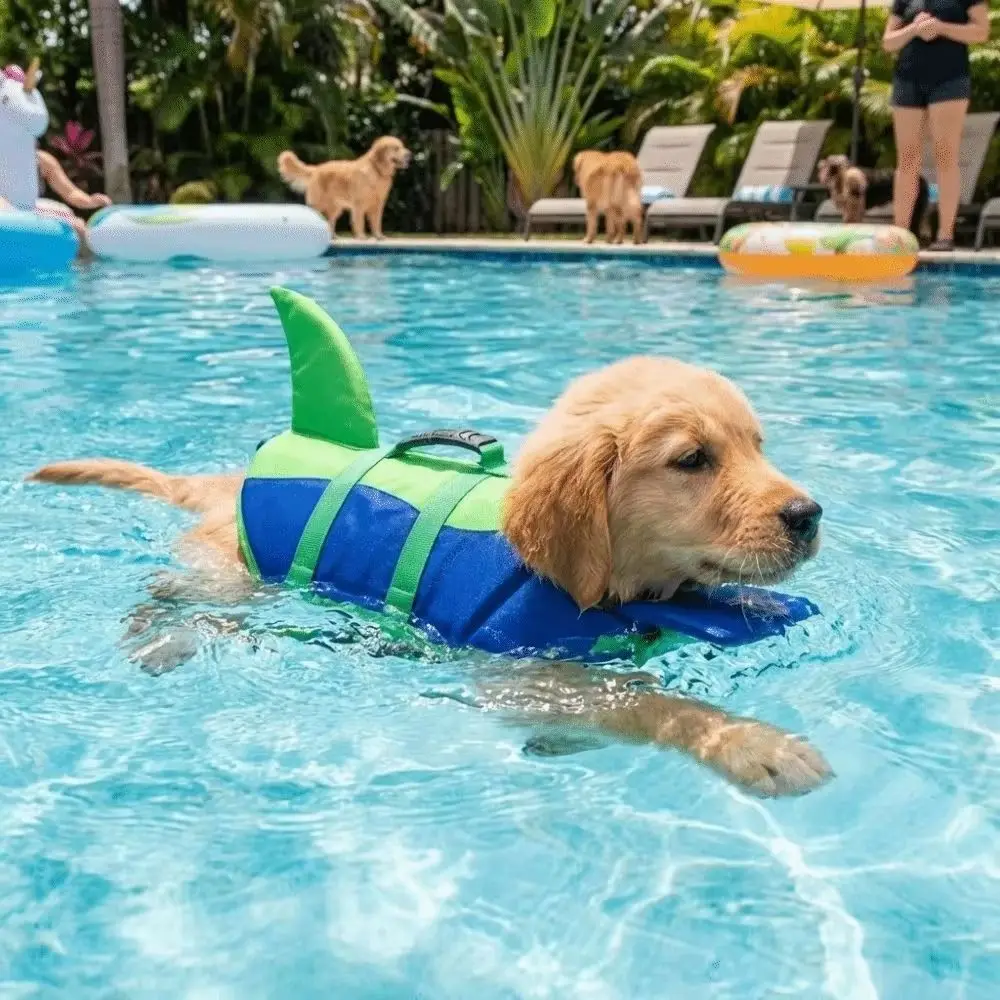 Colete Salva-Vidas para Cães de Poliéster com Alça para Piscina - Image 4