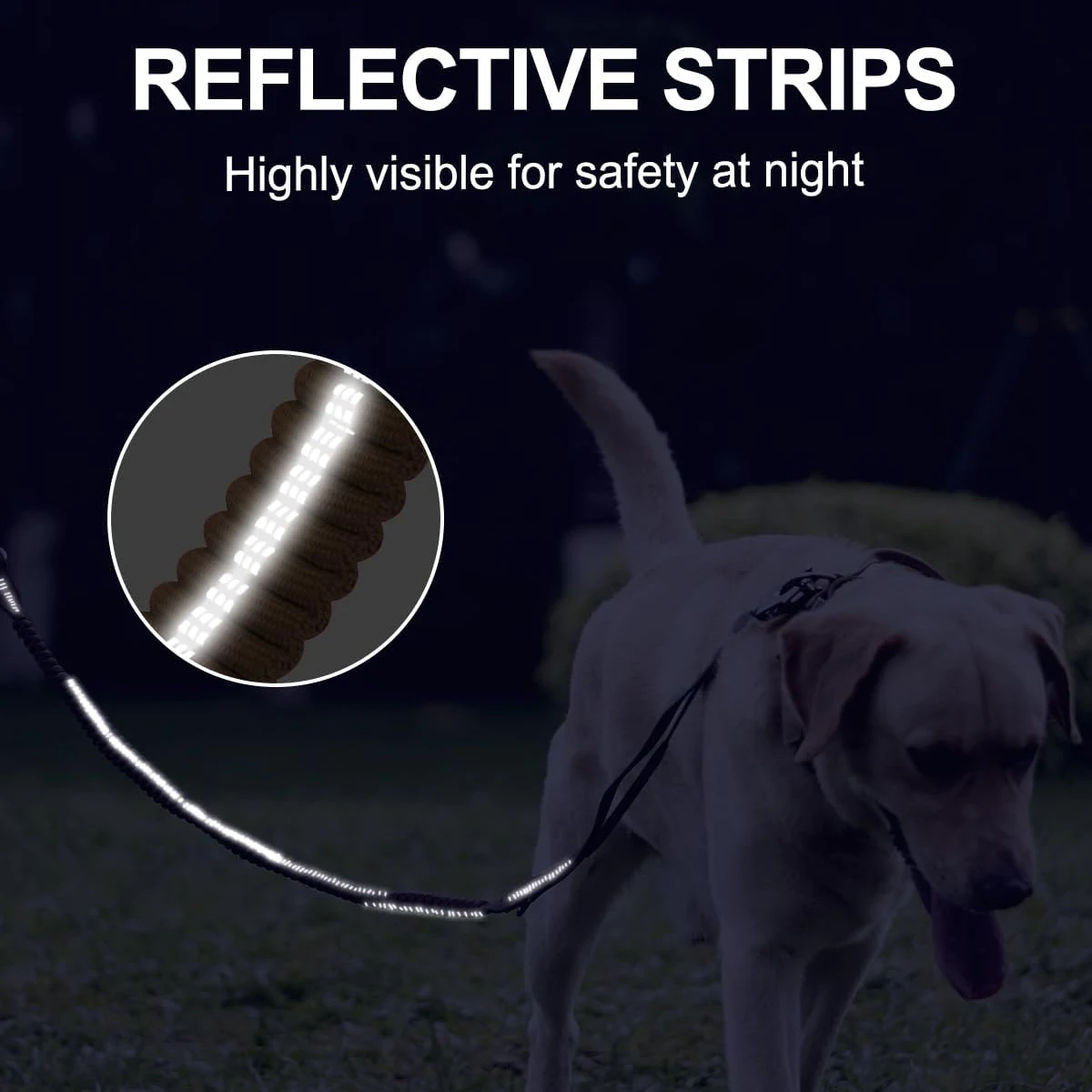 Coleira Tática para Cães Grandes com Cinto de Segurança e Elástico - Imagem 6