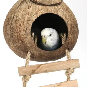 ninho de coco com escada para pássaros