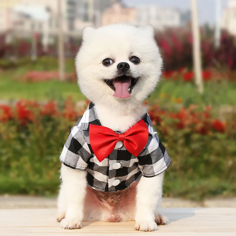 Camisa Xadrez para Cães e Gatos de Pequeno Porte com Gravata Borboleta - Imagem 5