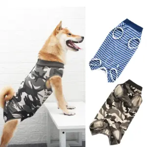 roupa de recuperação para cães
