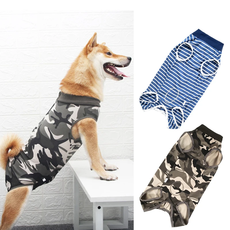 roupa de recuperação para cães