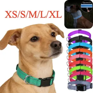 coleira de nylon refletiva para cães