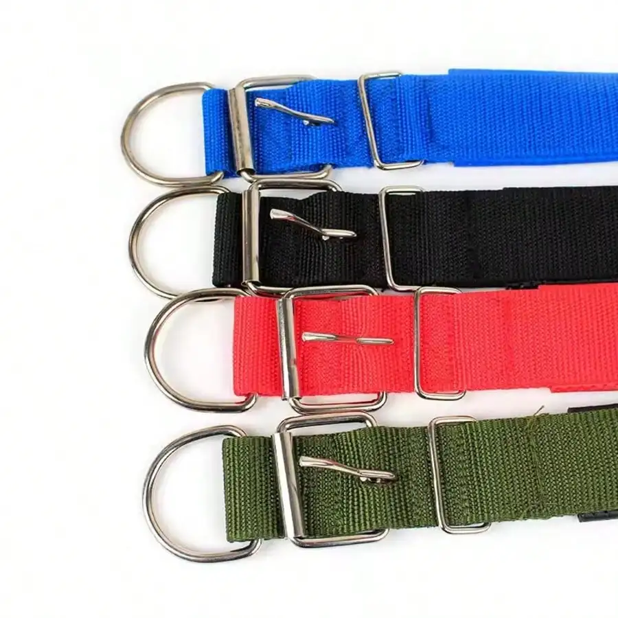 Coleira de Nylon para Cães com Forro Macio e Ajustável - Imagem 6