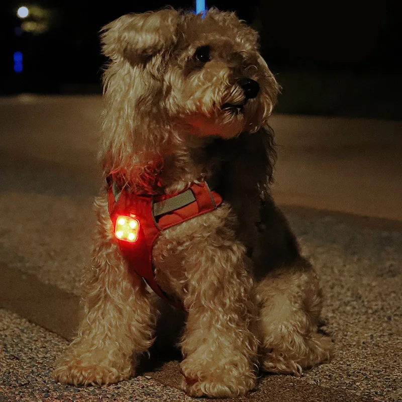 Pingente LED para Cães e Gatos Recarregável USB 3 Modos de Luz - Image 3