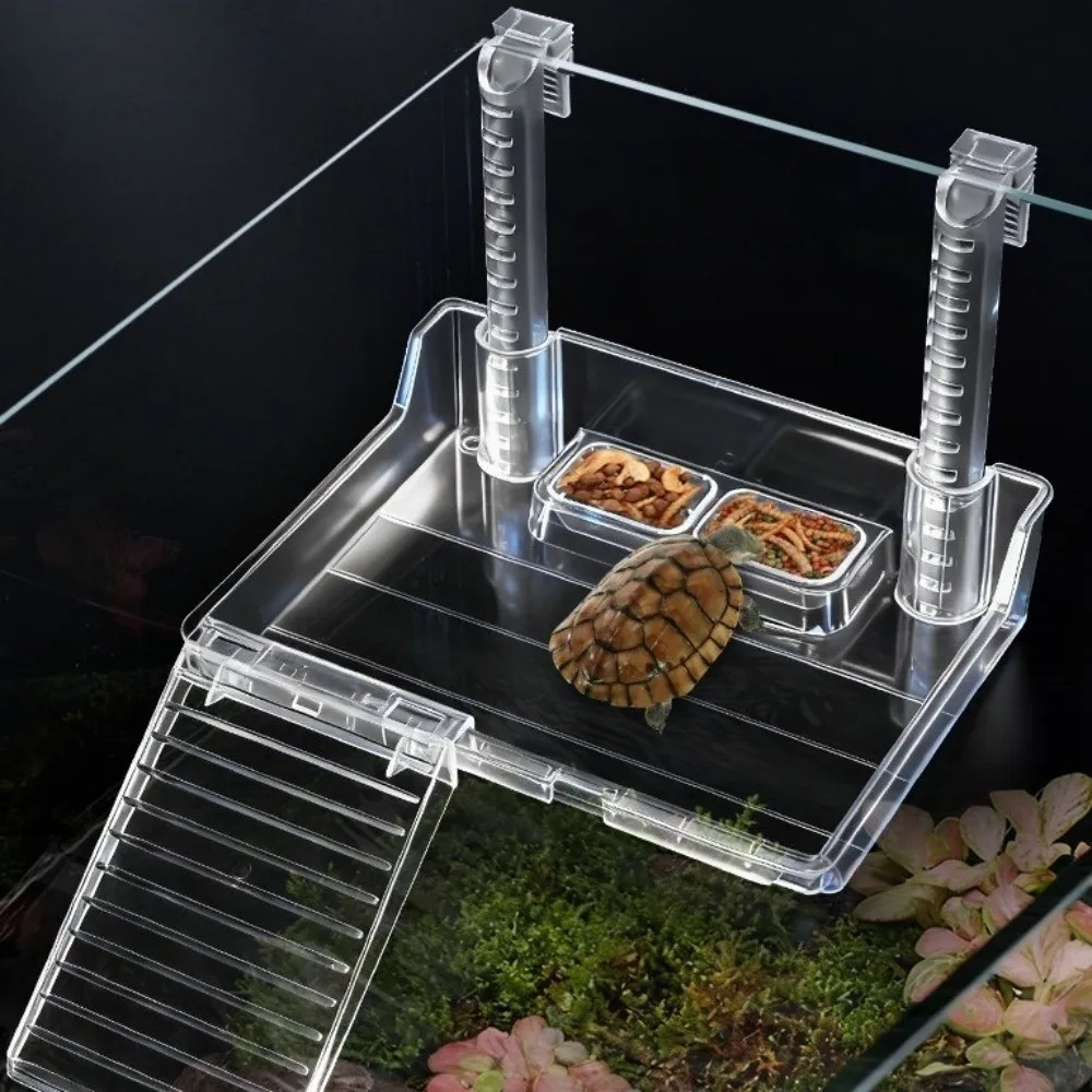Plataforma para Répteis Aquáticos de Acrílico com Escada - Imagem 2