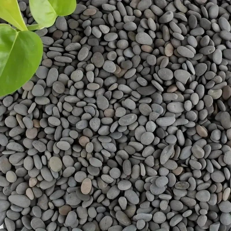 Pedras de Rio para Aquário 20 Peças Acinzentado-Preto para Decoração - Imagem 3