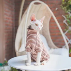 roupa de inverno listrada para gatos