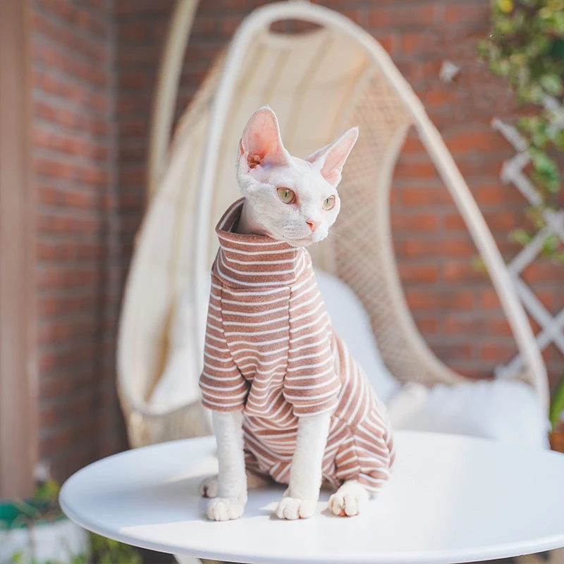 roupa de inverno listrada para gatos