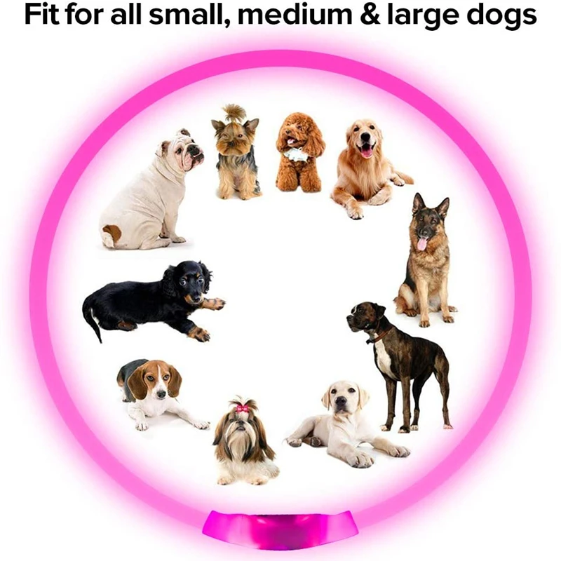 Coleira LED para Cães USB Recarregável 50 cm Amarela para Passeio Noturno - Imagem 4