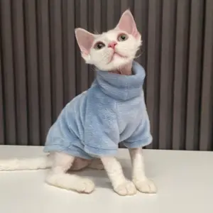 suéter para gato sem pelo
