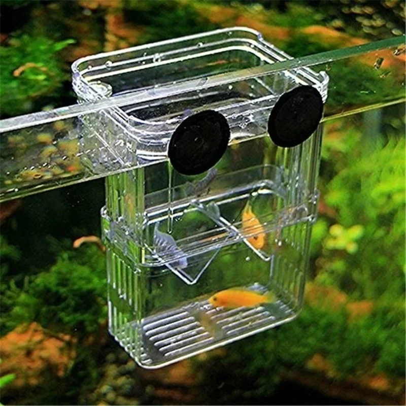 Caixa de Isolamento para Aquário Transparente Tamanho S com Ventosa - Imagem 3