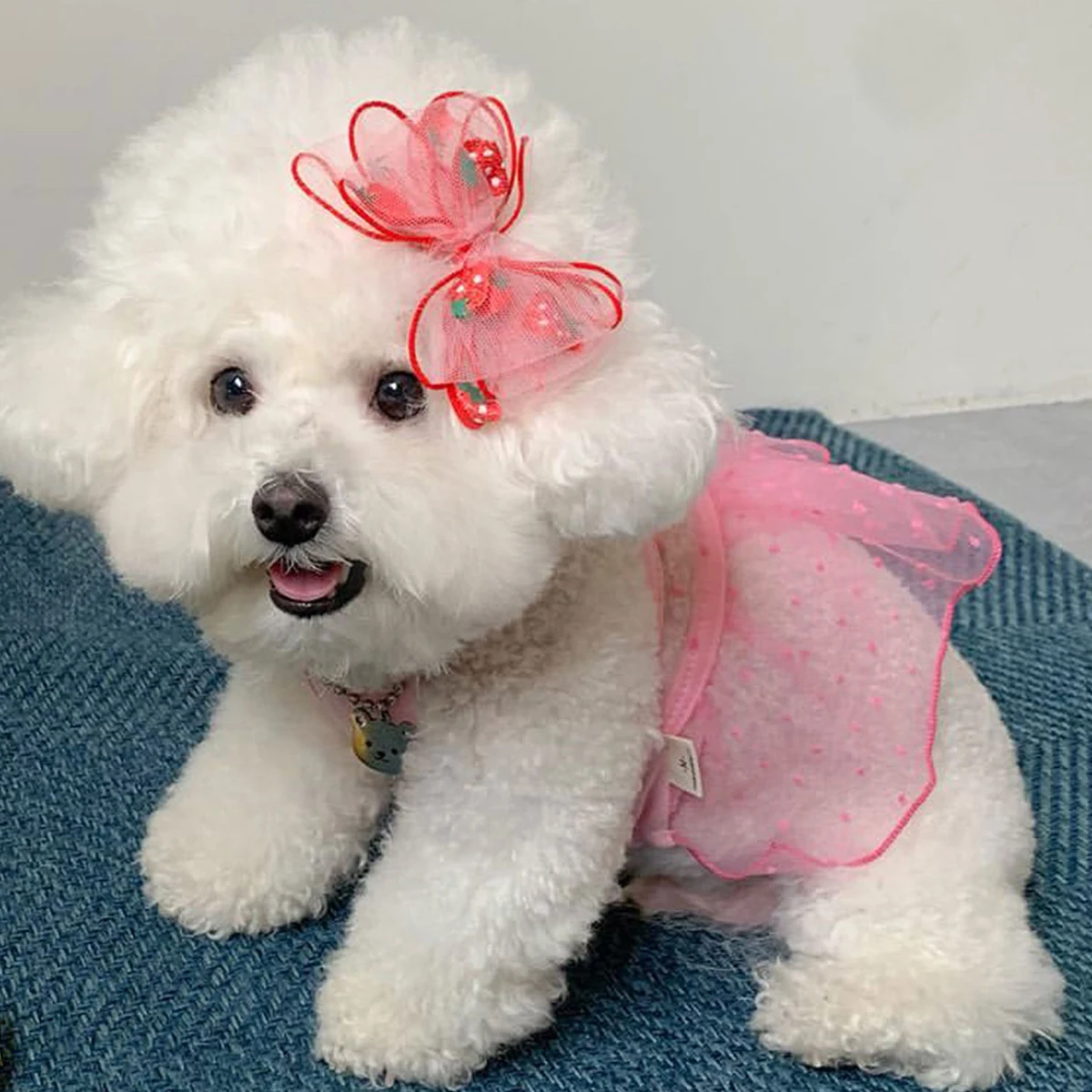Vestido para Cães Pequenos e Gatos de Algodão Leve e Respirável - Imagem 3