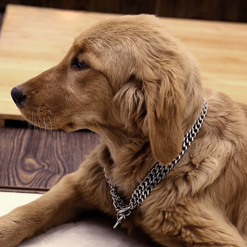 Coleira de Metal para Cães 35-70cm Ajustável para Treinamento - Imagem 2
