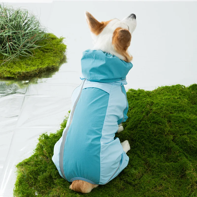 Capa de Chuva para Cães Pequenos e Médios Color Block Cobertura Total - Imagem 6