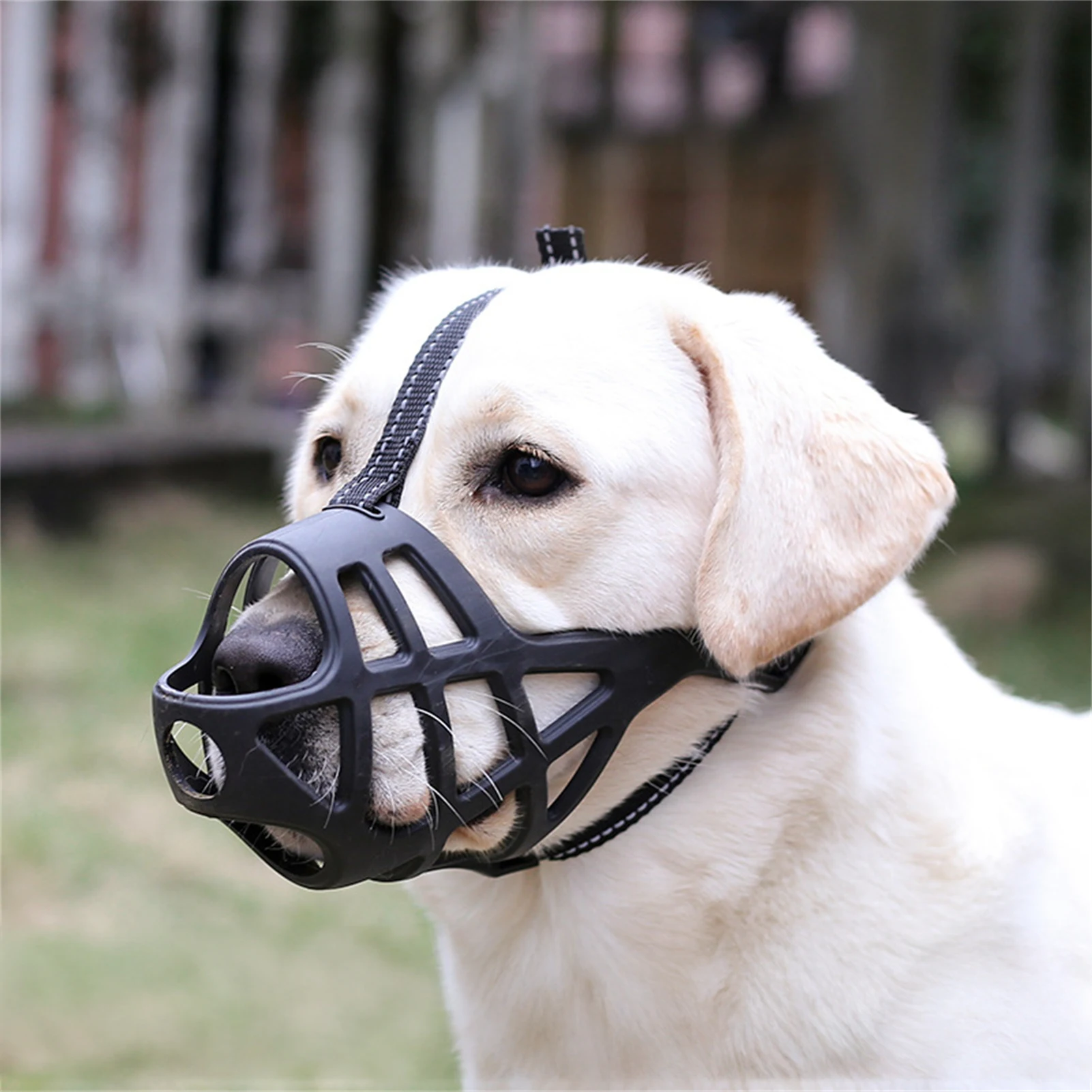 Focinheira de Plástico Macio para Cães com Design Respirável - Image 4