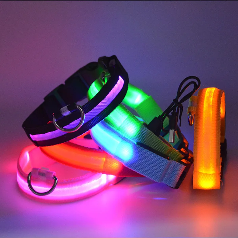 Coleira LED para Cães de Nylon com Brilho Noturno - Image 2