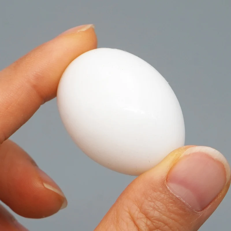 Ovos Falsos para Pombos 10 Unidades de Plástico para Reprodução - Imagem 4