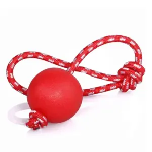 brinquedo bola de borracha para cães