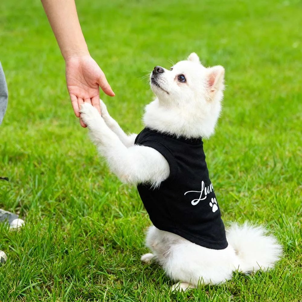 Camiseta Personalizada para Cães e Gatos com Estampa Exclusiva - Image 5