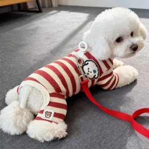 roupa para cães pequenos com listras