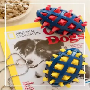 bola de rugby para cães com som