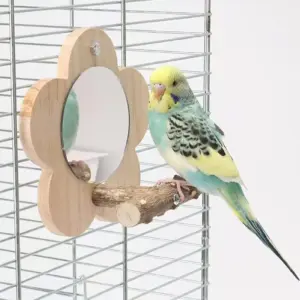 poleiro espelho para pássaros