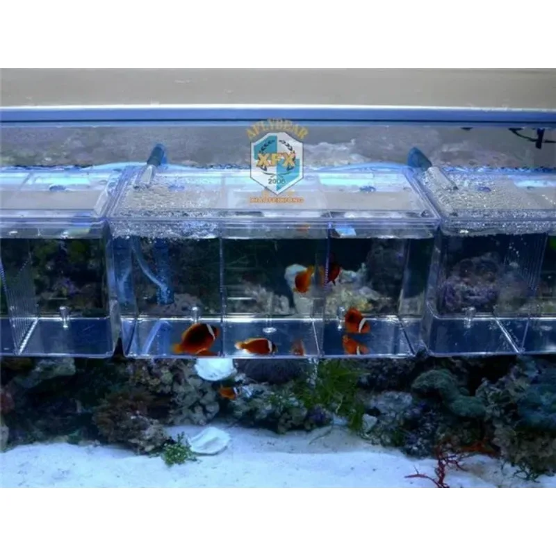 Caixa de Reprodução para Peixes S 1,25L de Acrílico com Autoflotação - Image 2