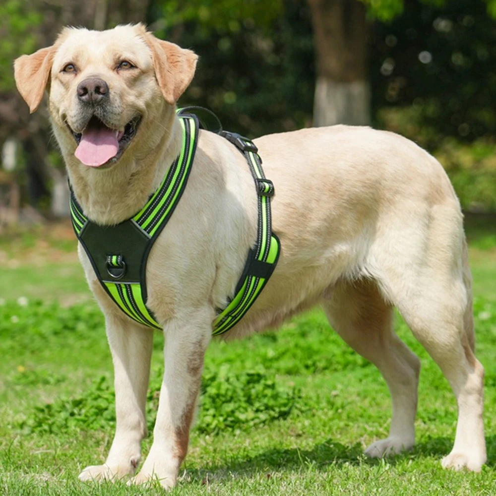 Colete Arnês para Cães Grandes Durável para Passeio - Image 5