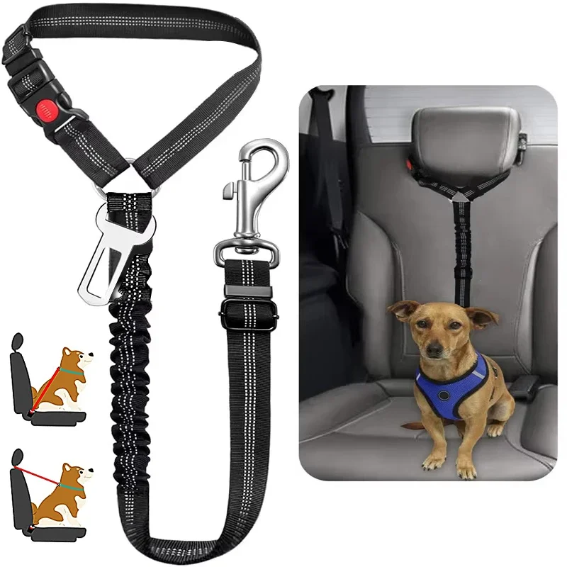 cinto de segurança para cães