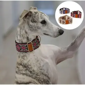 coleira martingale ajustável para cães