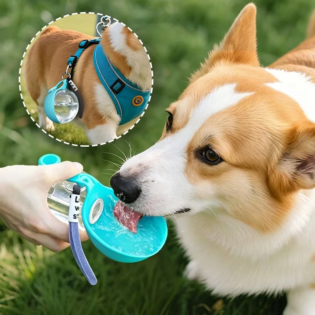 Garrafa de Água Portátil para Cães com Tigela Dobrável Embutida - Imagem 5