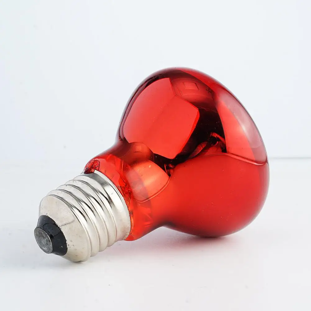 Lâmpada de Aquecimento para Répteis E27 25W-100W Infravermelha - Imagem 5