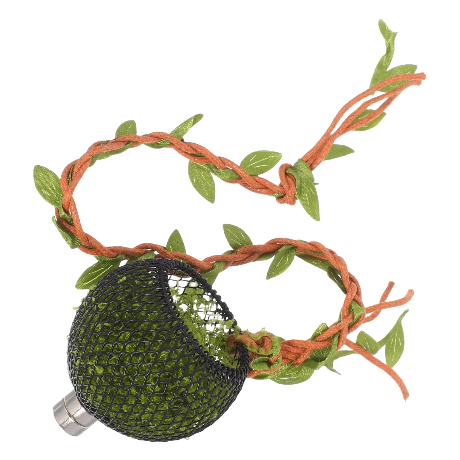 Abrigo para Aranha Saltadora de Videira Natural 37 cm - Imagem 5